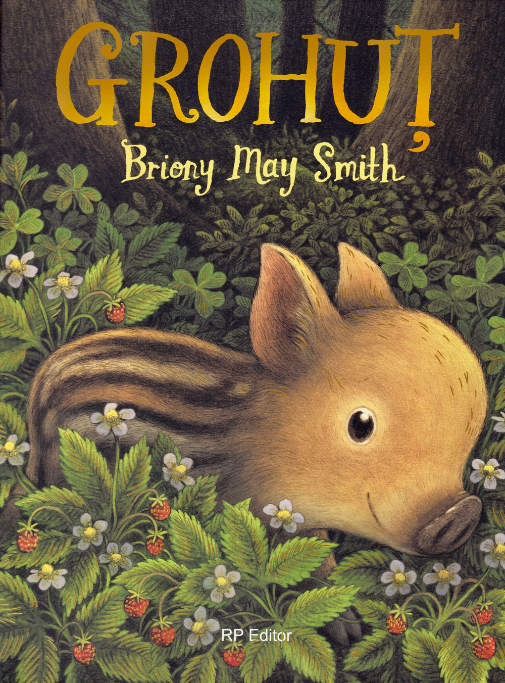 coperta carte pentru copii mistret